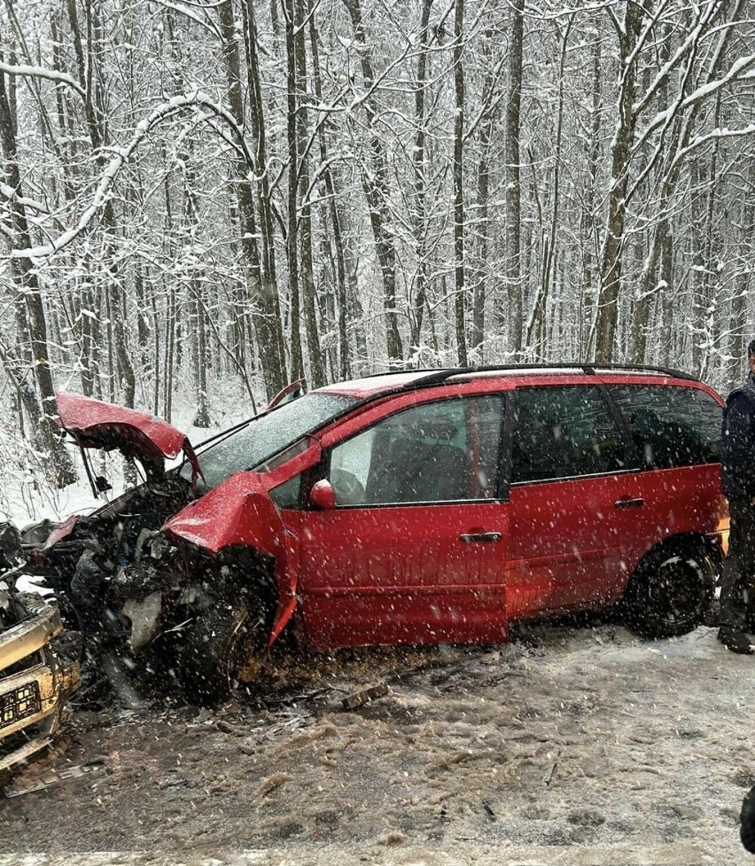 Pięć osób poszkodowanych w wypadku drogowym w Pałubicach....