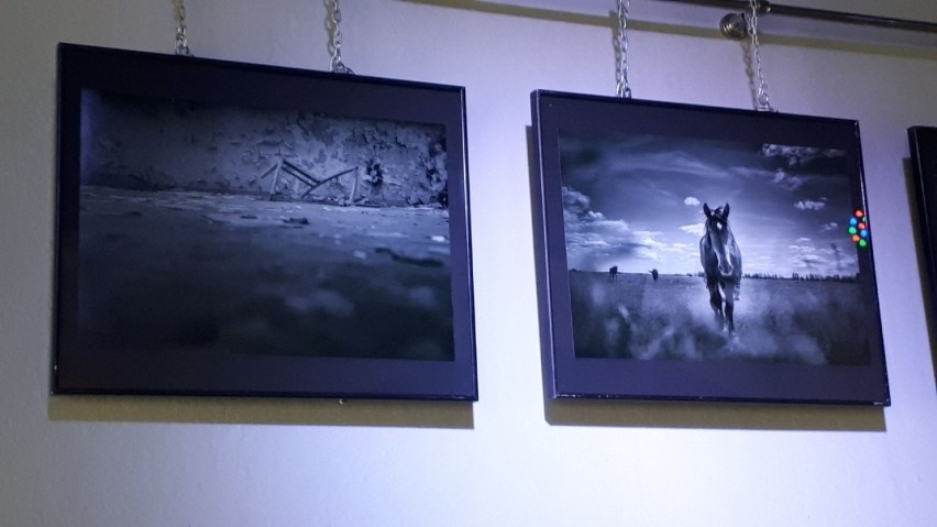 Taką twórczość Patryka Krzyżaka można oglądać w Iluzjon Art Cafe w Sandomierzu [ZDJĘCIA]