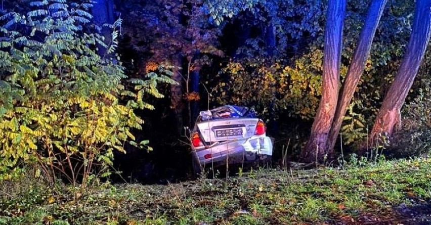 Na DK24 w Prusimiu auto uderzyło w drzewo. Jedna osoba ranna [FOTO]