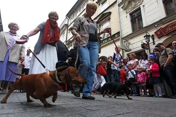 Marsz Jamników Kraków (2012) - zdjęcia archiwalne