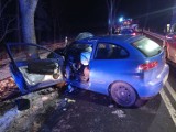 Wypadek na trasie Wilkowo Polskie - Karśnice. Samochód uderzył w drzewo, kierowca trafił do szpitala. Był pijany! 