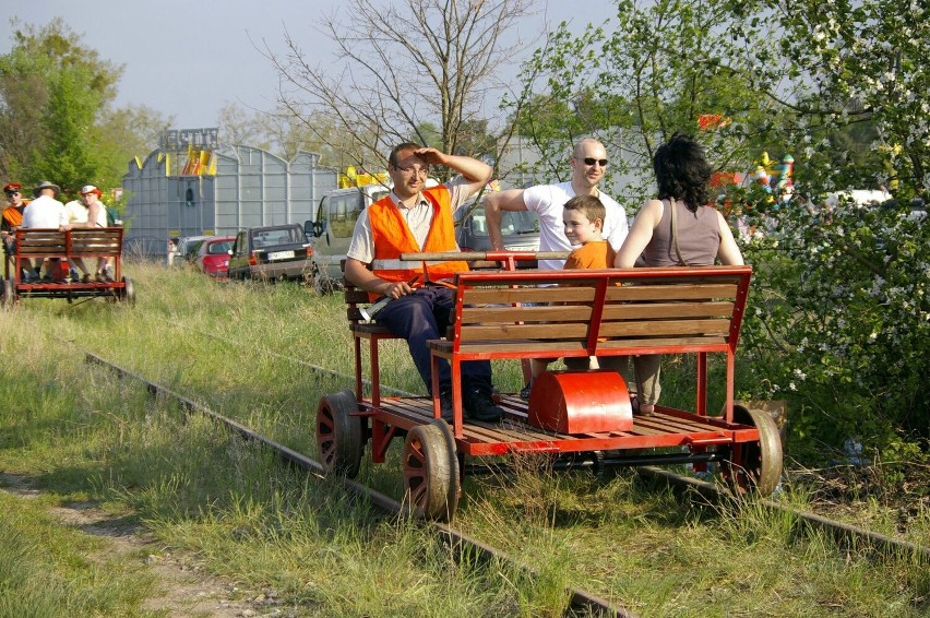 Międzynarodowe targi tulipanów w Chrzypsku Wielkim - 1 maja