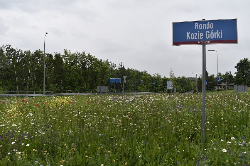 Ukwiecona łąka na rondzie w Rybniku. Jak Wam się podoba?