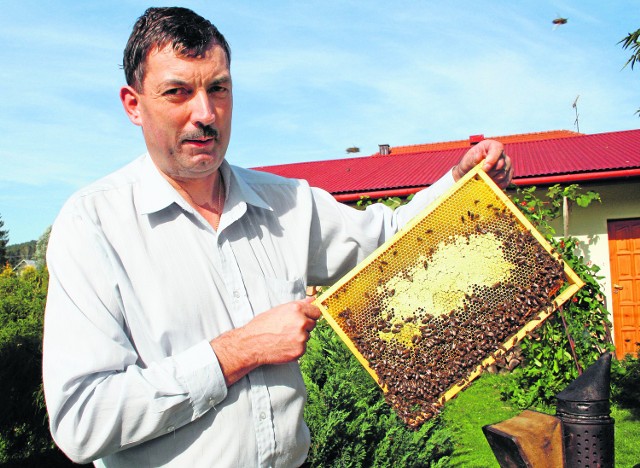 Pszczoły nie są w stanie same obronić się przed zabójczym odddziaływaniem nowoczesnej chemi użytej w rolnictwie