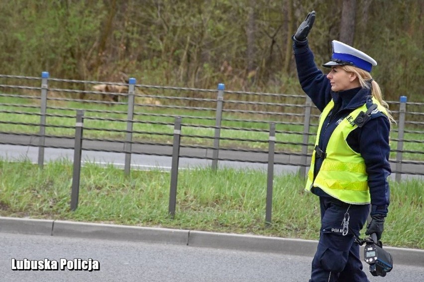 Gorzowscy policjanci ruchu drogowego zatrzymali kolejne...