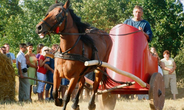 Wyścigi rydwanów podczas święta bursztynu, to gwóźdź programu. Tym razem zawody odbędą się w randze mistrzostw Polski