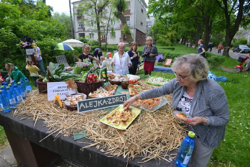 Jak dobrze mieć sąsiada - piknik w kieleckim uzdrowisku Alejka Zdrój (WIDEO, zdjęcia)