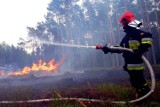 Straż pożarna Wodzisław: znowu płonęły trawy