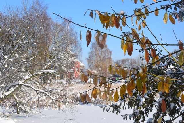Park Suble zimą