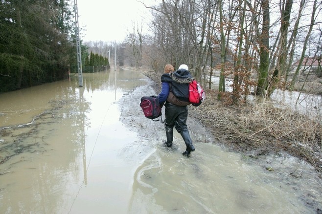 Woda przerwała wał przeciwpowodziowy pod Wrocławiem (ZDJĘCIA)