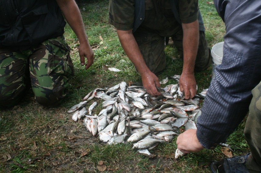 Wędkarze z Piotrkowa Kujawskiego zakończyli sezon połowu ryb [zdjęcia]