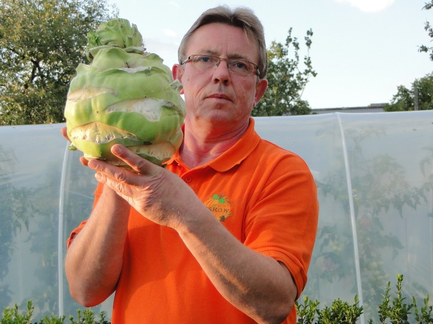 Gigantyczne warzywa z Raciborza. Holewa bije kolejne rekordy