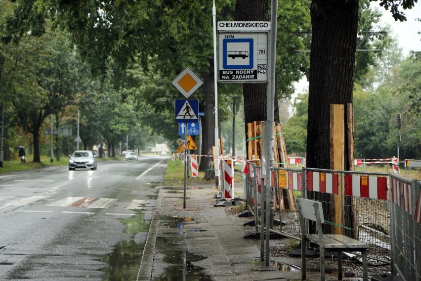 Wrocław. Nie ma szans na powrót tramwajów na Biskupin w tym roku (SZCZEGÓŁY) 