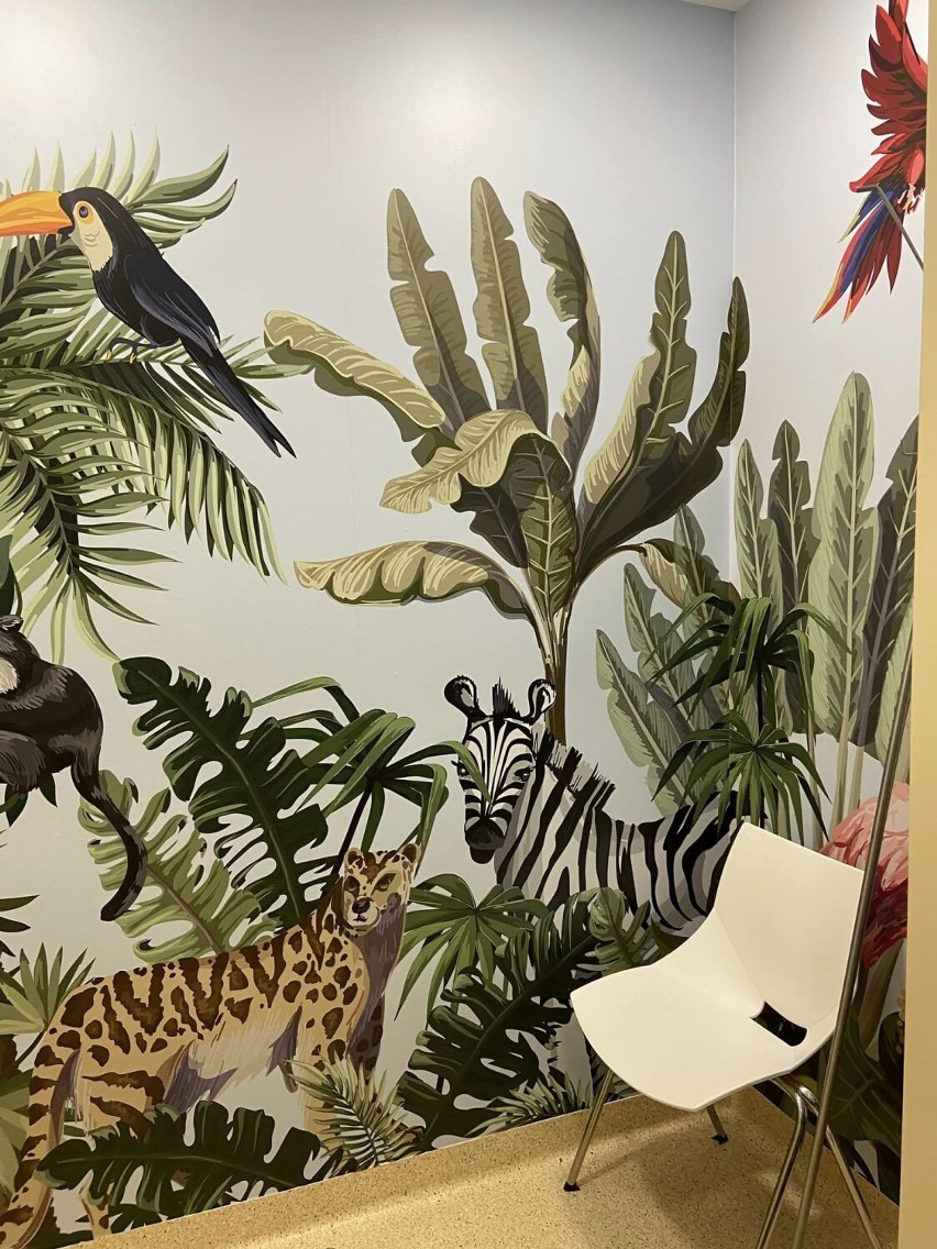 Flamingi, papugi, zebra, tukan na ścianach. W takich warunkach aż przyjemniej się badać
