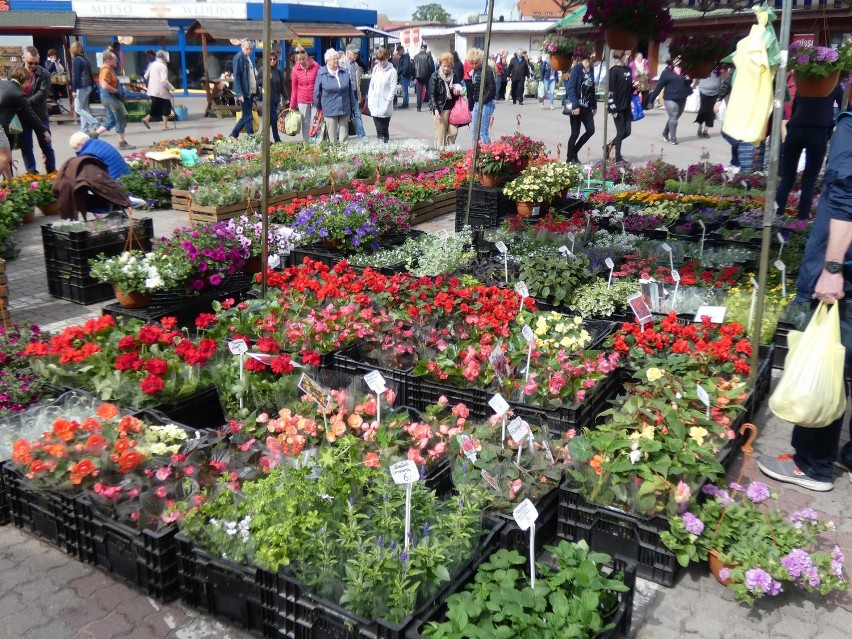 Festiwal Kwiatów na Rynku - było pięknie i kolorowo [ZDJĘCIA]