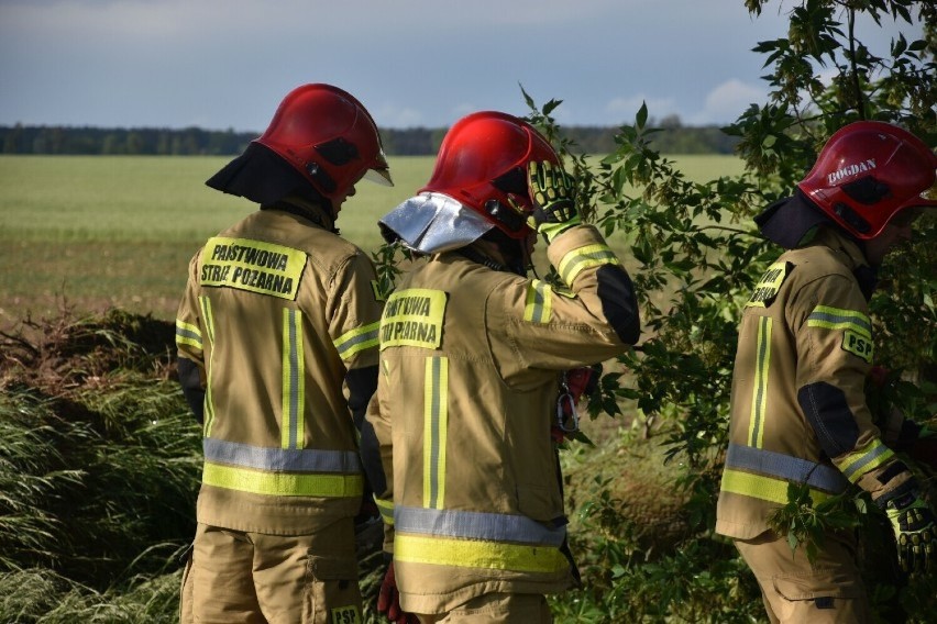 Zostań zawodowym strażakiem! Komenda Powiatowa Państwowej Straży Pożarnej w Śremie ogłosiła nabór. Jakie warunki muszą spełnić kandydaci?