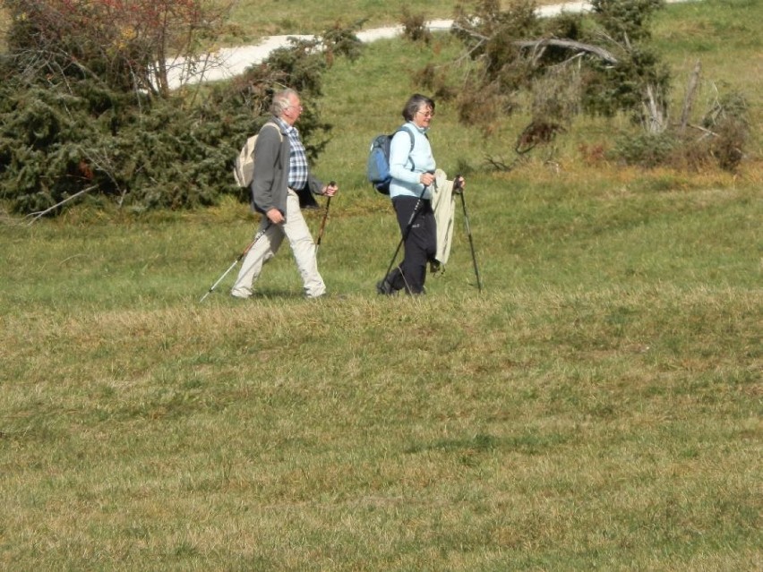 Osoby uprawiające Nordic Walking spotykam u nas na każdym...