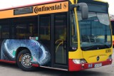 Komunikacja miejska na Euro 2012: Darmowe autobusy Continental i przystanki-bramki