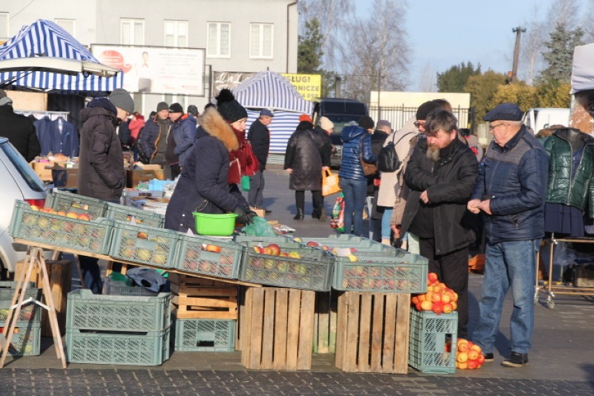 Targ przy Brzeskiej w Radziejowie [1.02.2023]