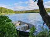 Kociewskie krajobrazy nad jeziorem Borówno Wielkie ZDJĘCIA 