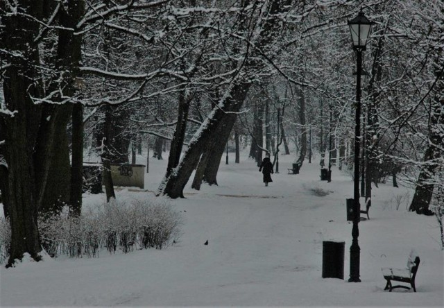 Tak prezentuje się współczesne oblicze kaliskiego parku miejskiego zimową porą