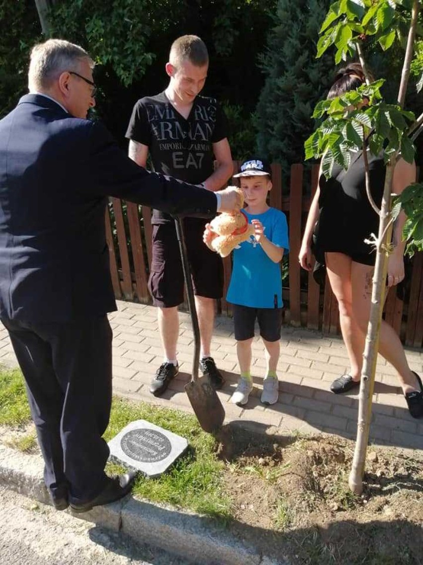 Drzewko naszego dziecka - akcja w Szczawnie-Zdroju
