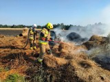 Liczne pożary na polach. Kolejny pracowity dzień strażaków z powiatu wieluńskiego