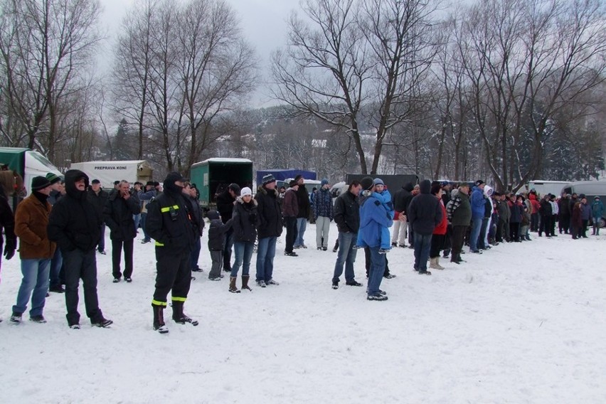 Węgierska Górka: Międzynarodowe Zawody Furmanów 2013 [ZOBACZ ZDJĘCIA]