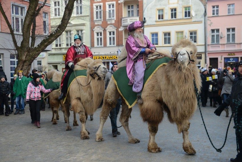 Orszak Trzech Króli 2019 w Zielonej Górze już po raz ósmy! Będą wielbłądy, alpaki i nowości  [ZDJĘCIA, PROGRAM]