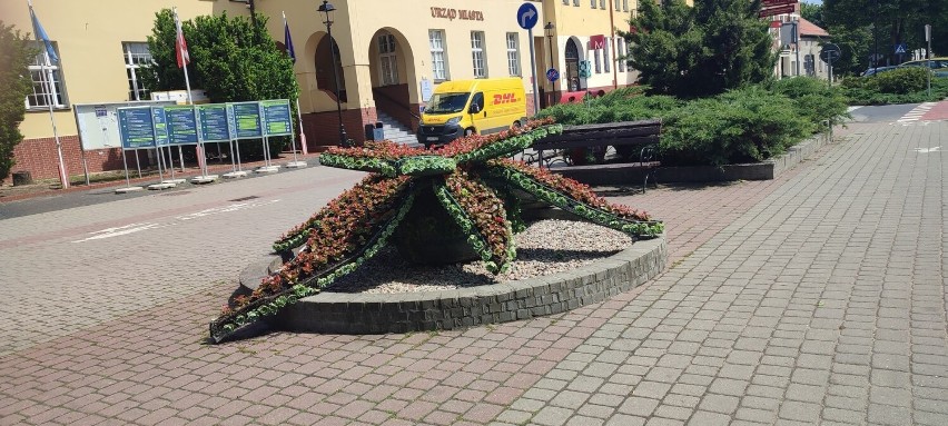 Z przerwami spowodowanymi nieprzyjazną aurą - przede...