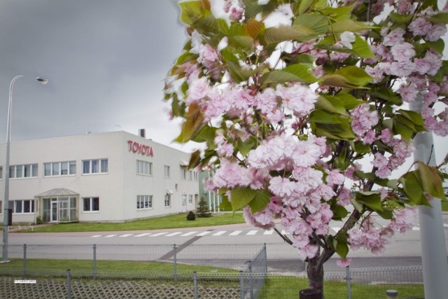 Wałbrzyska fabryka koncernu motoryzacyjnego Toyota