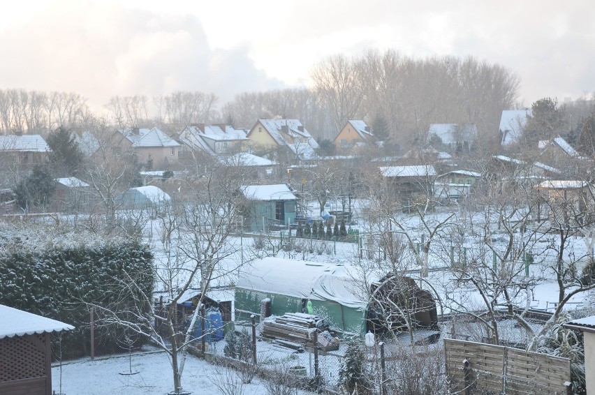 Śnieg spadł też w Kostrzynie nad Odrą. Warunki na drogach są...