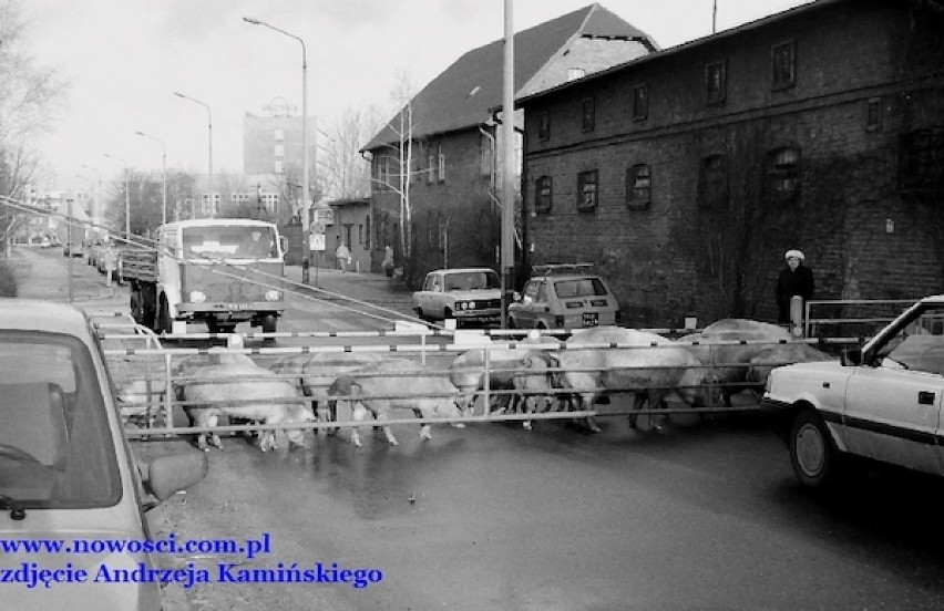 Do połowy lat 90. taki widok był czymś powszechnym. 

Tak...