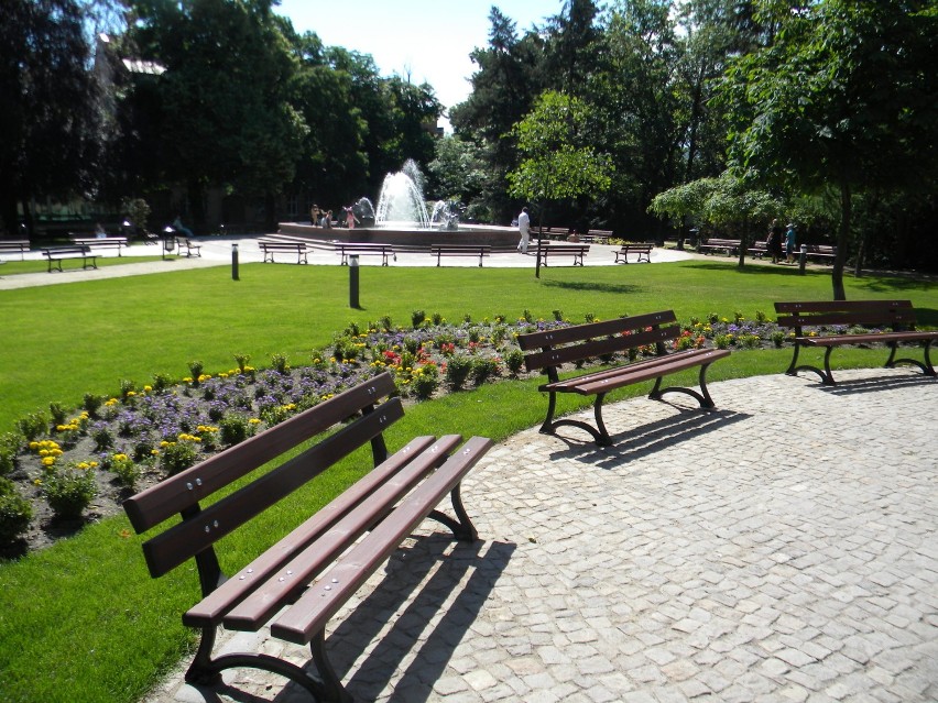 Park Kazimierza Wielkiego [foto]