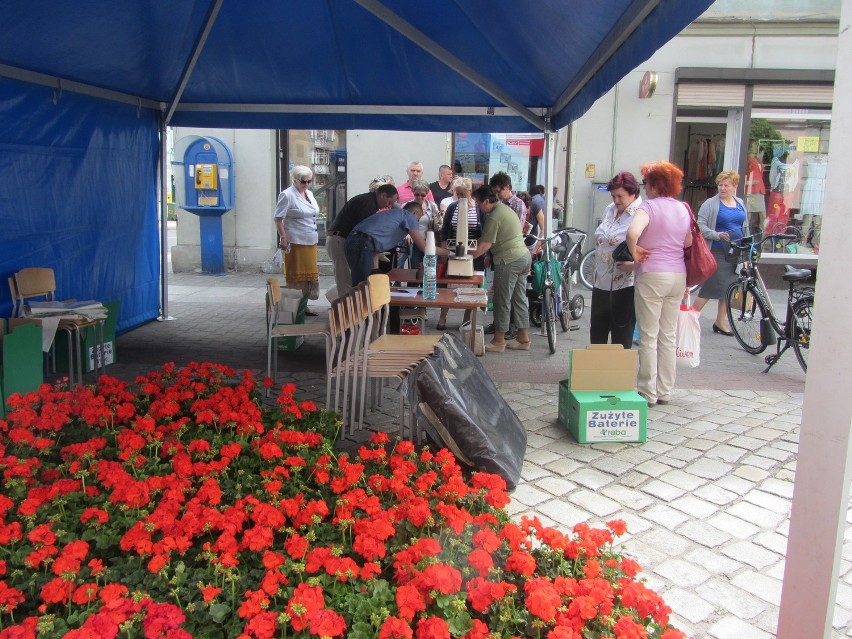 Grodzisk. Happening ekologiczny ZDJĘCIA