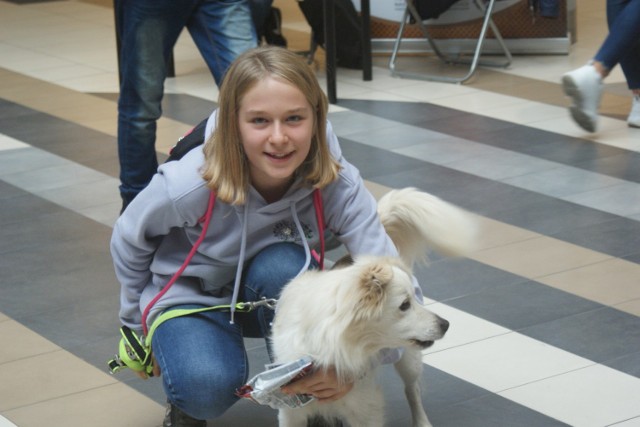 Dzień Zwierząt w Focus Mall w Piotrkowie