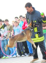 Żabno: ratownicze psy dały pokaz w gimnazjum