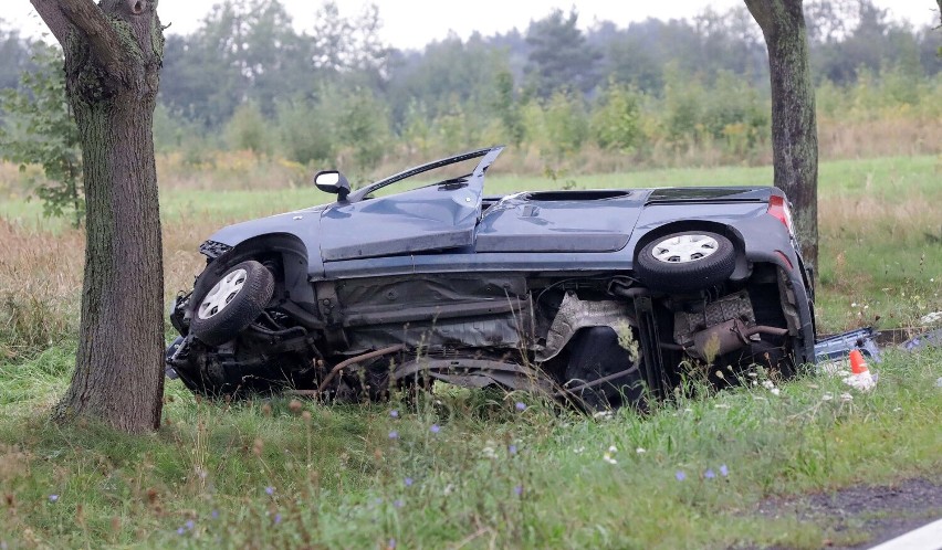 Koszmarny wypadek w Gogołowicach, nie żyje kierowca, zobaczcie zdjęcia