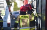 Pożar w dzielnicy uzdrowiskowej w Kołobrzegu. Spłonął kiosk gastronomiczny