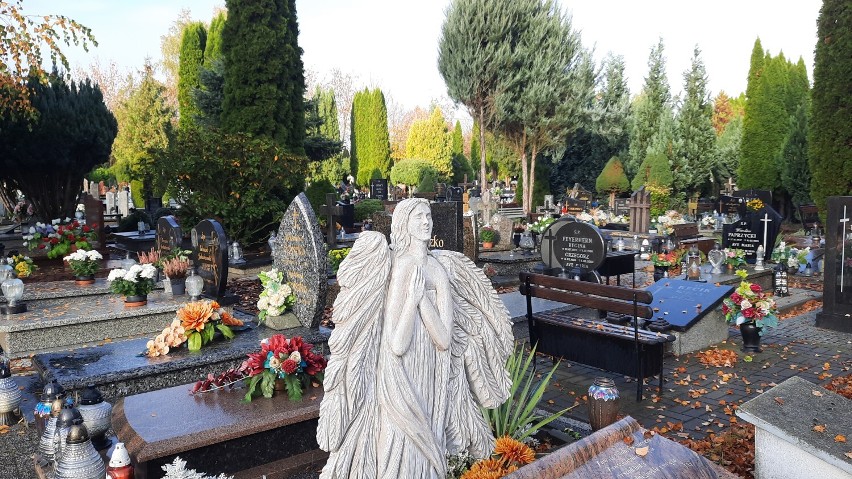 Tak cmentarz przy ul. żwirowej w Gorzowie wyglądał w...