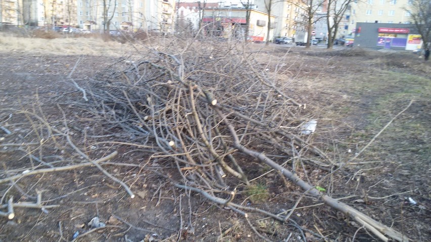 Wrzosowiak: Marzyli o parku, jednak drzewa wycięto w pień [FOTO]