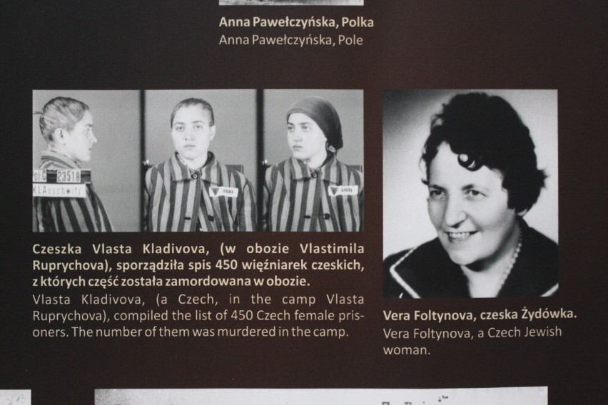 Jastrzębie-Zdrój: Wystawa o kobietach w Auschwitz ZDJĘCIA