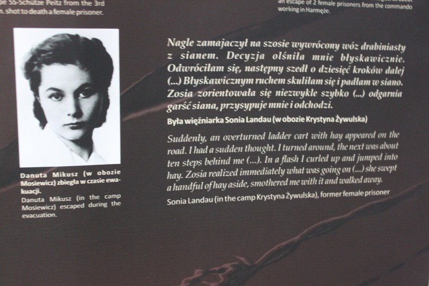 Jastrzębie-Zdrój: Wystawa o kobietach w Auschwitz ZDJĘCIA