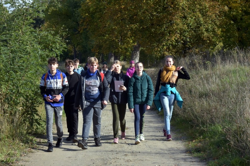 Rajd po Chodzieży: od lamusa do dębowej ostoi. Uczniowie SP1 na trasie