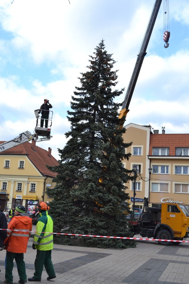 Choinka na rynku w Rybniku już stoi