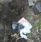 Wieluń. Wyrwał telefon 34-latkowi z dłoni i zakopał go na podwórku.19-latek z zarzutami