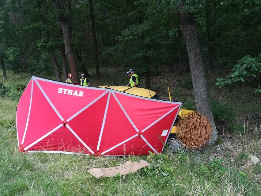 Śmiertelny wypadek na drodze Leszno - Osieczna