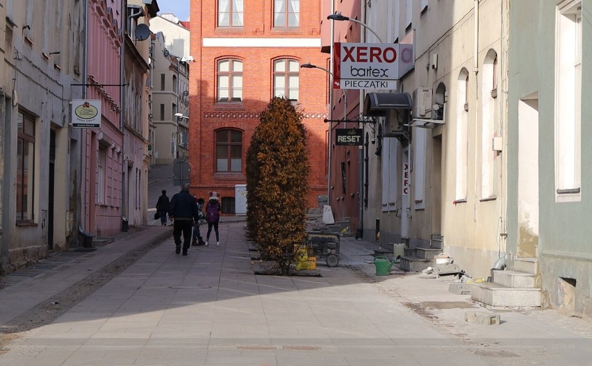 Olsztyn odbudowuje zieleń po budowie linii tramwajowych: Nowe drzewa i rośliny na mieście