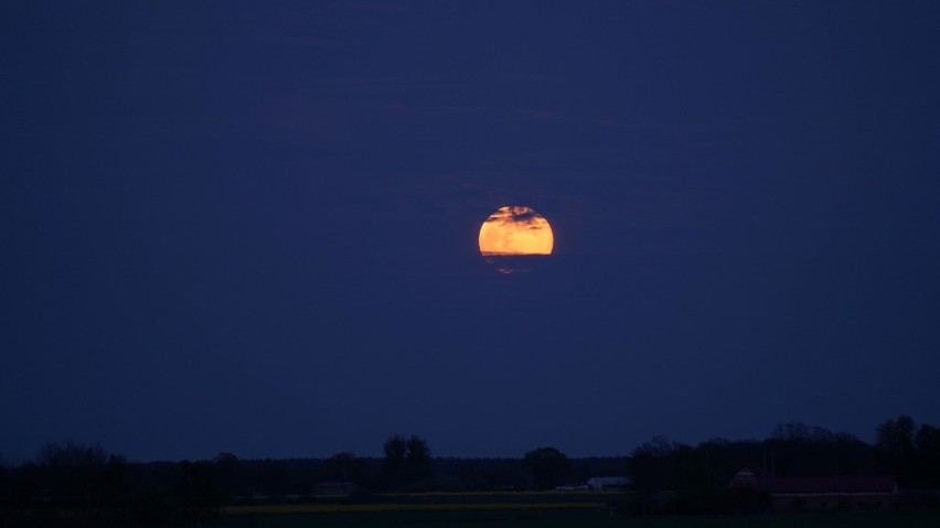 Za nami ostatnia w tym roku superpełnia. Pełnia Księżyca, która ozdobiła niebo 7 maja, nosi nazwę Kwiatowej.  