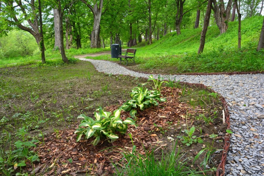 Park w Markowcach gotowy. W nim m.in. mówiące ławki [ZDJĘCIA]